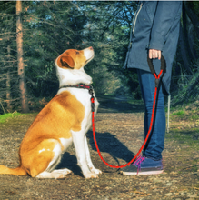 Load image into Gallery viewer, Reflective Dog Leash Nylon Pet Dog Leash
